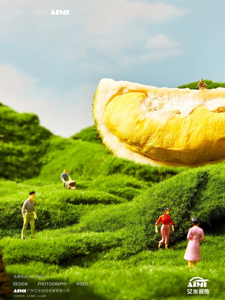 Durian creative composition photography
