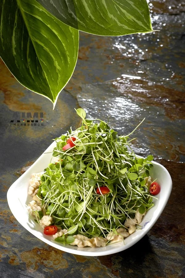 Recipe & Dish Photography in China