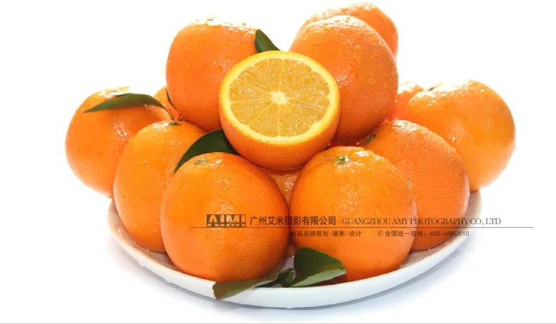 Fruit Photo Shooting Food Photo Shooting Effect Post-production Retouching creative composition photography