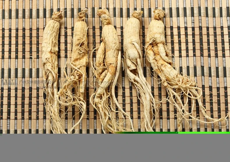 Nutritional Herbs Photography Guangzhou Herbs Photography Service white background photography