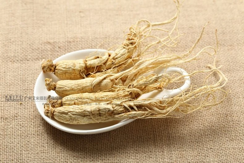 Nutritional Herbs Photography Guangzhou Herbs Photography Service styled scene photography
