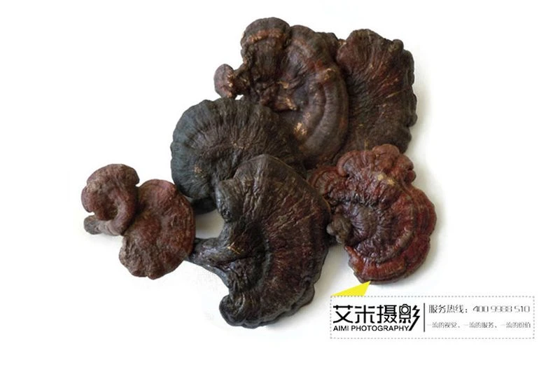Birds Nest / Ginseng Health Products Photography Cuisine Product Photography Guangzhou E-commerce Ph creative composition photography