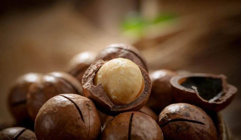 Guangzhou Snacks Photography Company Nuts Product Photography Food Photography Organization detail shot photography
