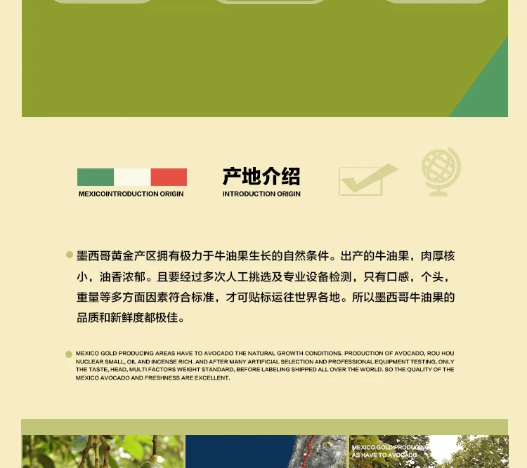 E-commerce Product Detail Page Design