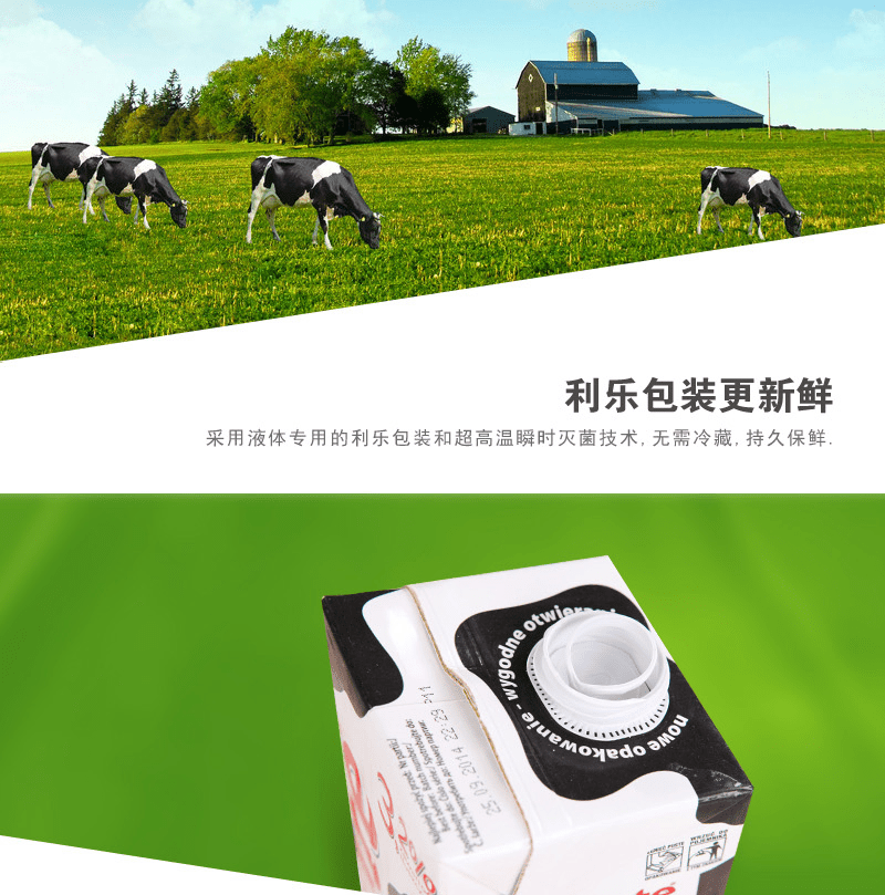 E-commerce Product Detail Page Design