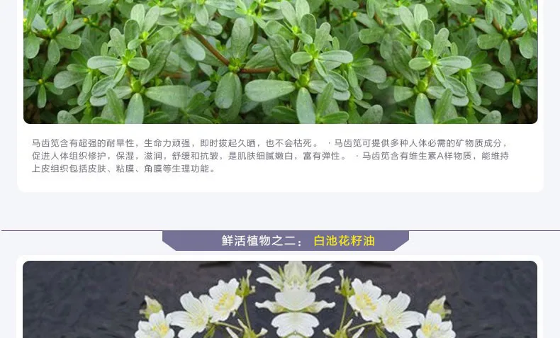 E-commerce Product Detail Page Design