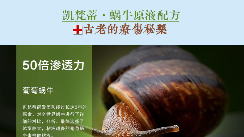 E-commerce Product Detail Page Design