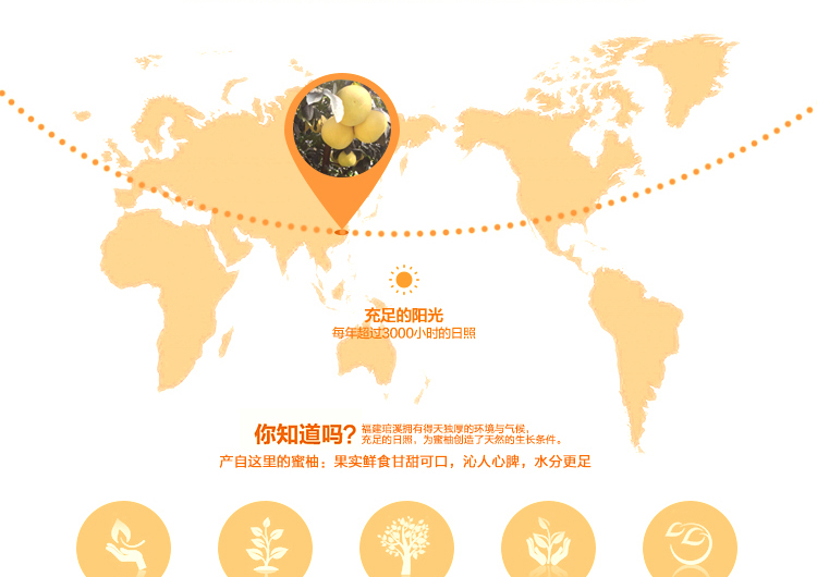 E-commerce Product Detail Page Design