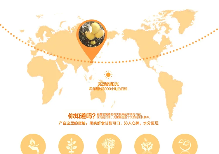 E-commerce Product Detail Page Design