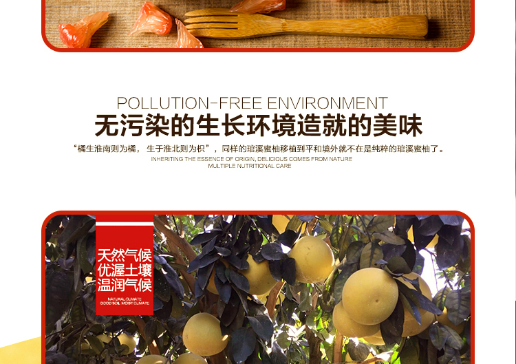 E-commerce Product Detail Page Design