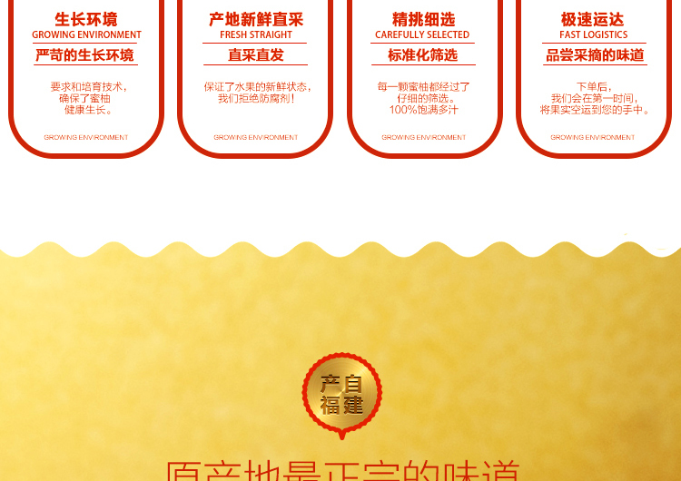 E-commerce Product Detail Page Design