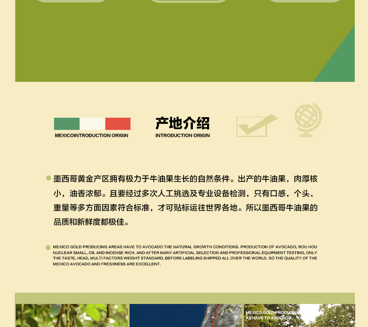 E-commerce Product Detail Page Design