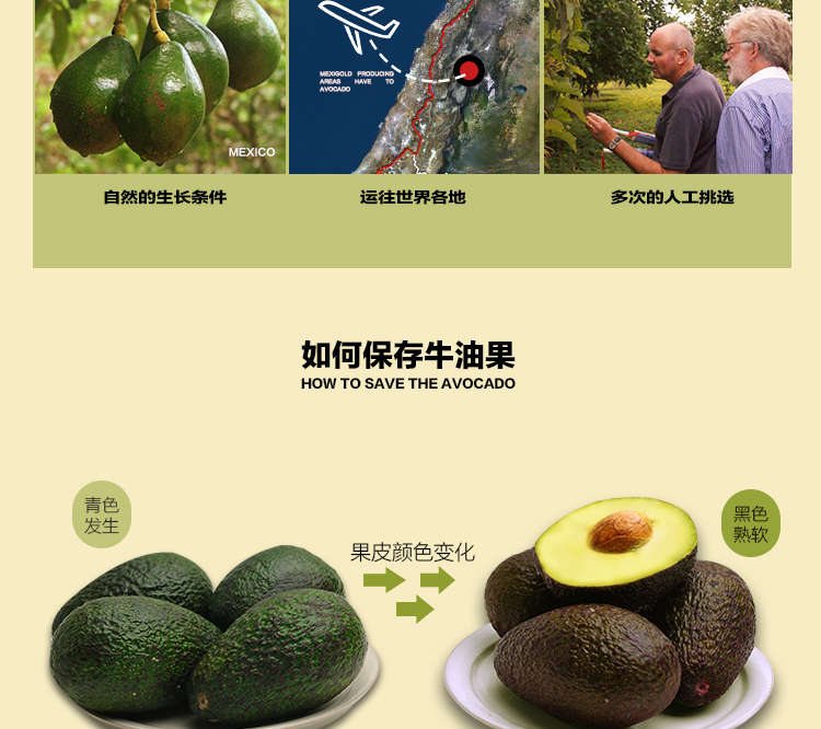 E-commerce Product Detail Page Design