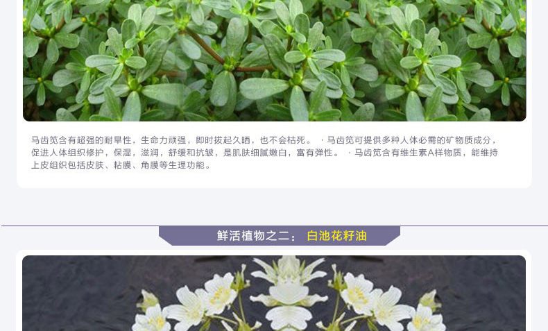 E-commerce Product Detail Page Design