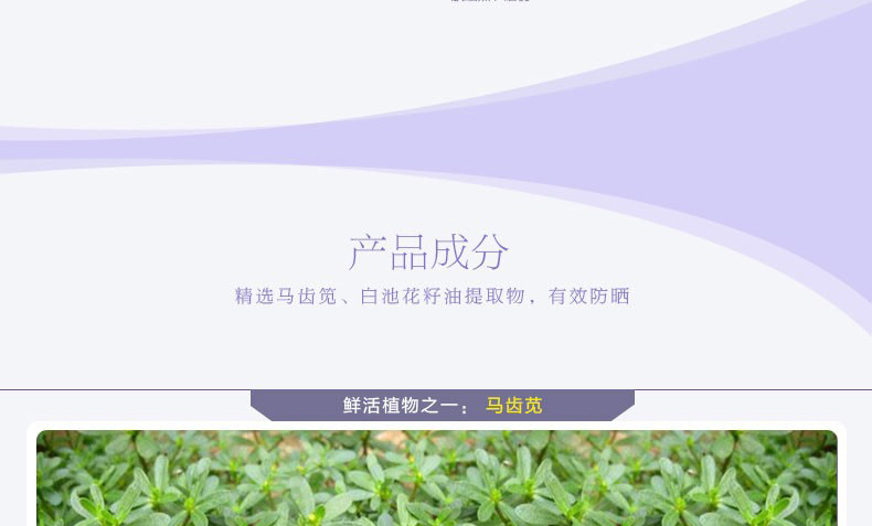E-commerce Product Detail Page Design