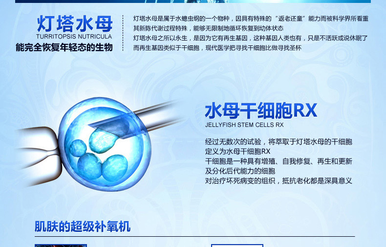 E-commerce Product Detail Page Design