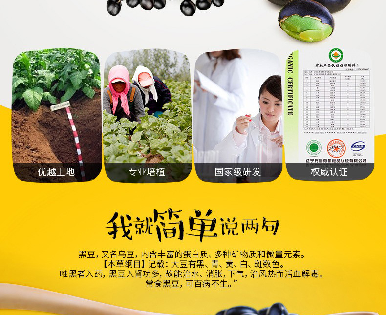 E-commerce Product Detail Page Design