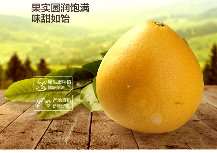 E-commerce Product Detail Page Design