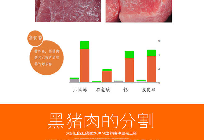 E-commerce Product Detail Page Design