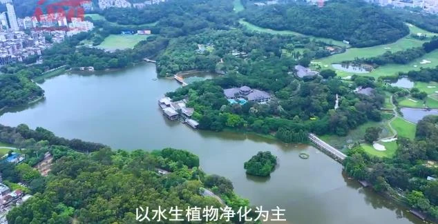 Guangzhou Company Image Video Shooting Jinlongfeng Corporate Branding Video