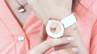 Taobao Product Short Video Creative Production Brand Dickies Wrist-6